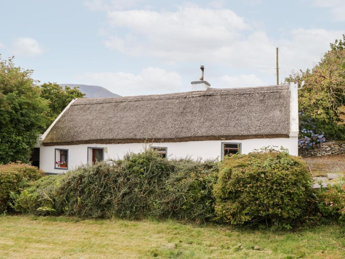 The Thatched Cottage Liscarney Экстерьер фото